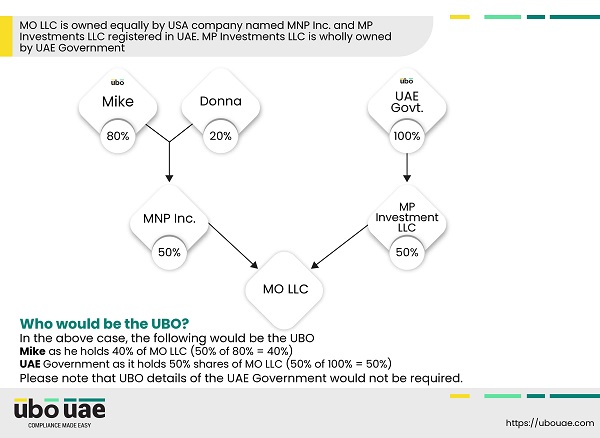 Case where a government holds a portion of the shares of the entity